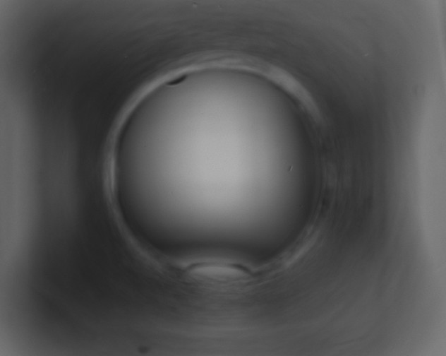 X0000101471520200807071433