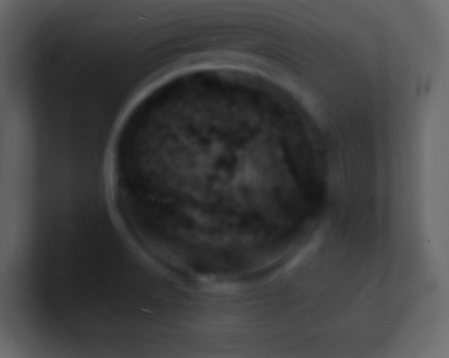 X0000101471522200807071433