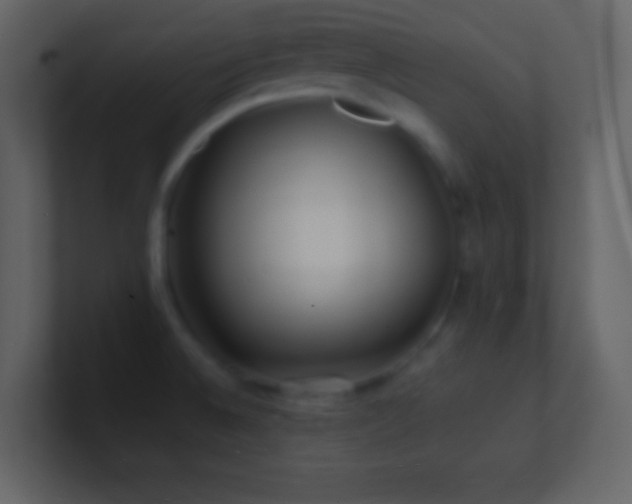 X0000101471524200807071433