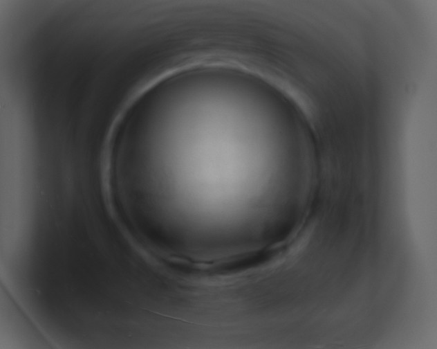 X0000101471525200807071433
