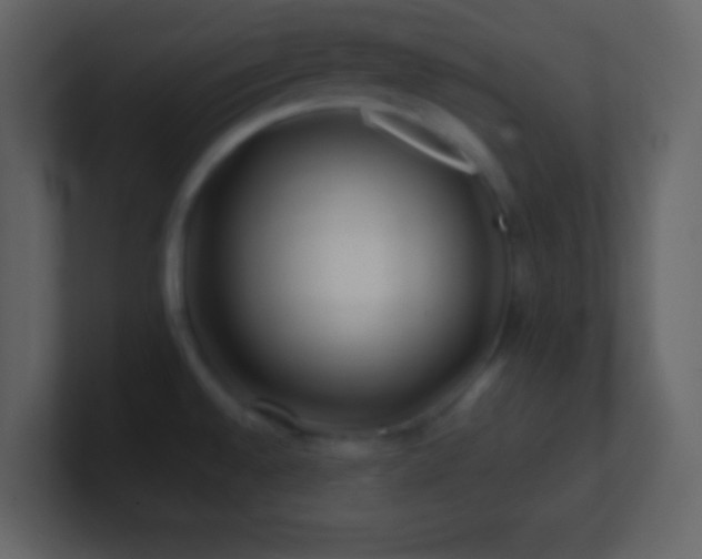 X0000101471528200807071433