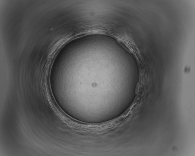 X0000101470001200807141402