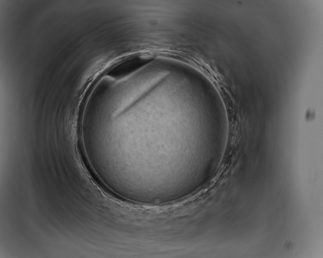 X0000101470002200807141402