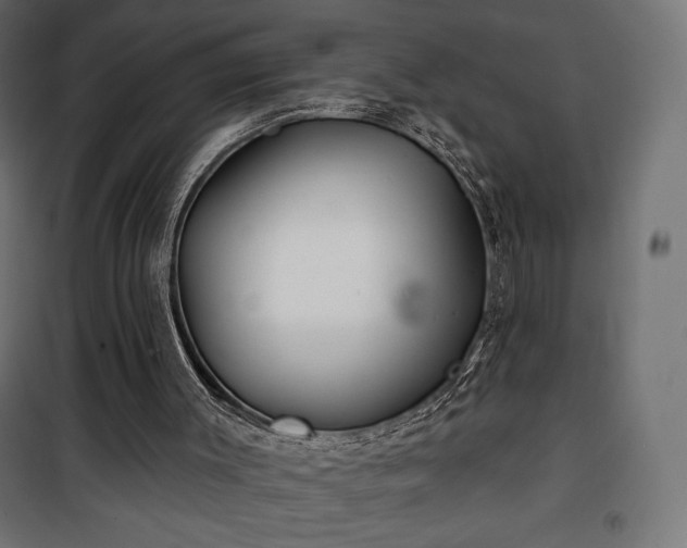 X0000101470003200807141402