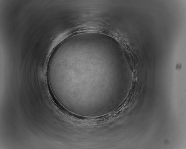 X0000101470004200807141402