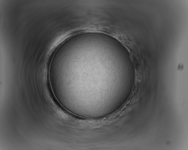 X0000101470005200807141402