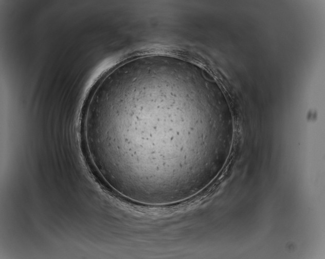X0000101470006200807141402