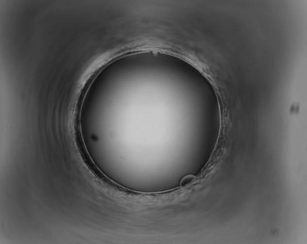 X0000101470007200807141402