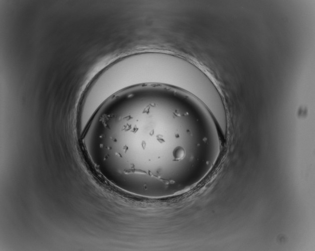 X0000101470008200807141402