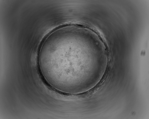 X0000101470012200807141402