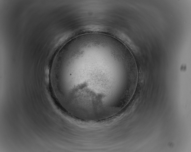 X0000101470014200807141402