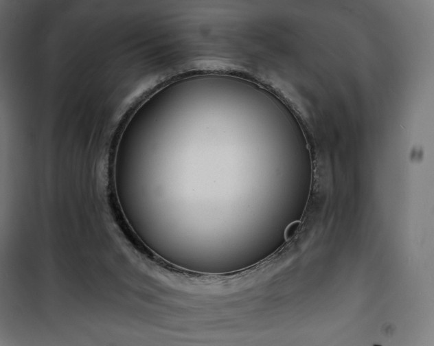 X0000101470015200807141402