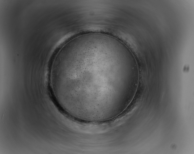 X0000101470016200807141402