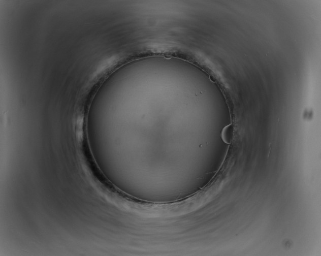 X0000101470019200807141402