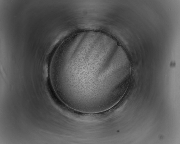 X0000101470020200807141402