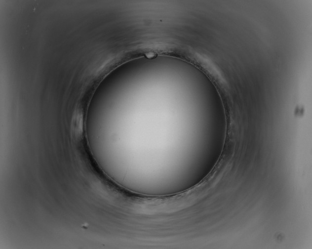 X0000101470021200807141402