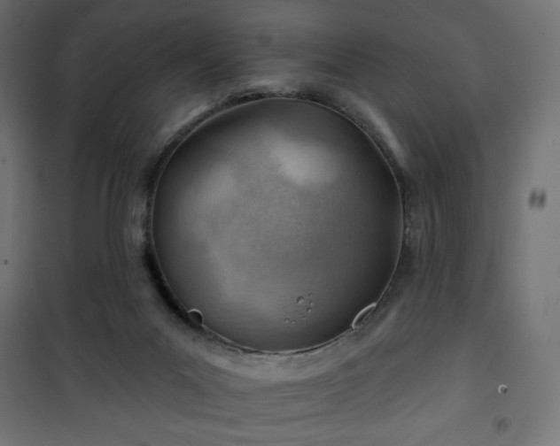 X0000101470023200807141402