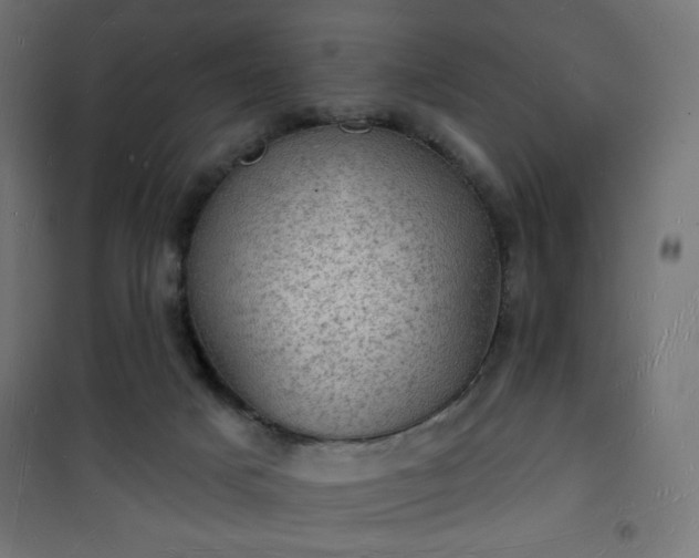 X0000101470025200807141402