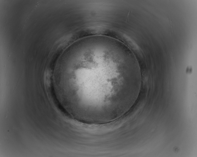 X0000101470026200807141402