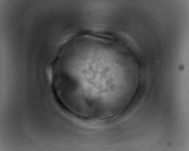 X0000101470028200807141402