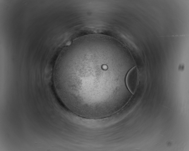 X0000101470030200807141402