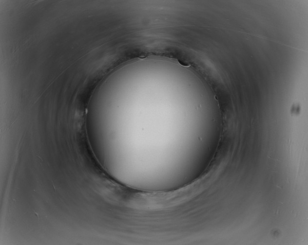 X0000101470033200807141402