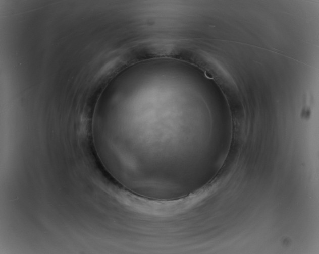 X0000101470035200807141402