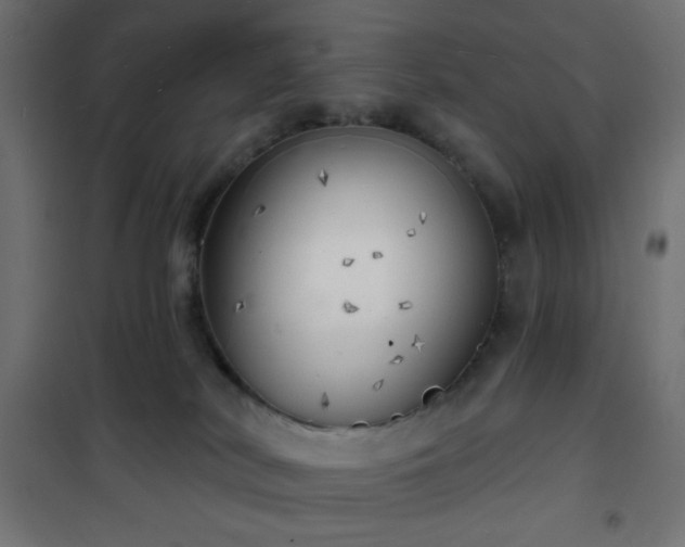 X0000101470038200807141402