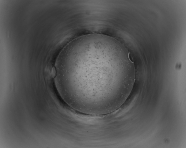 X0000101470040200807141402