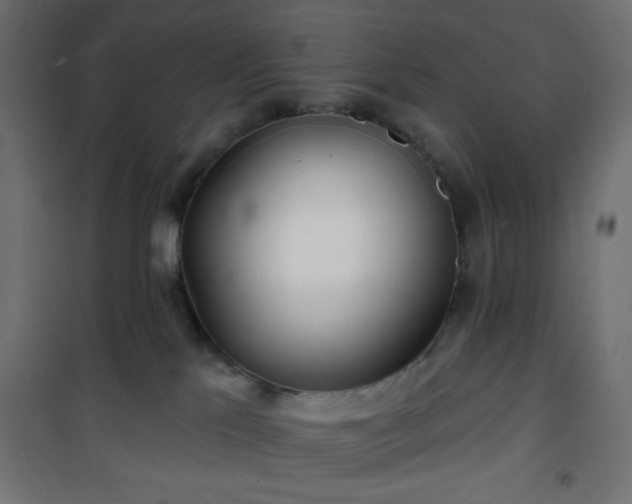 X0000101470041200807141402