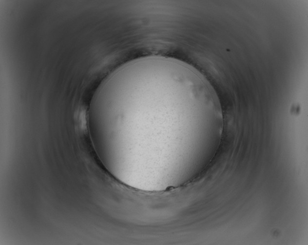 X0000101470042200807141402