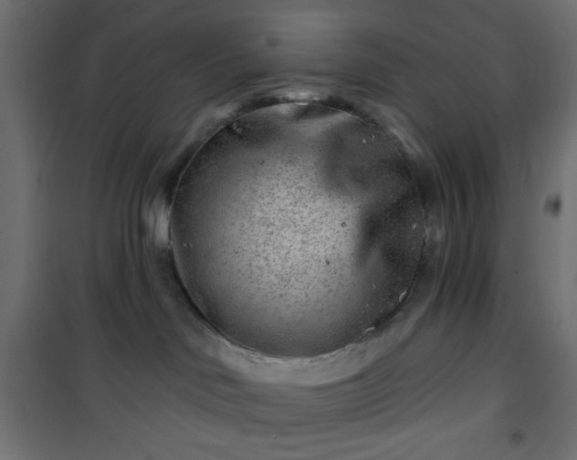 X0000101470046200807141401