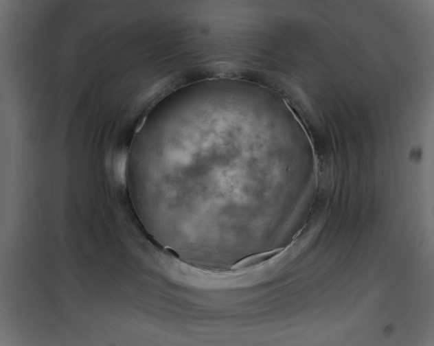 X0000101470047200807141401