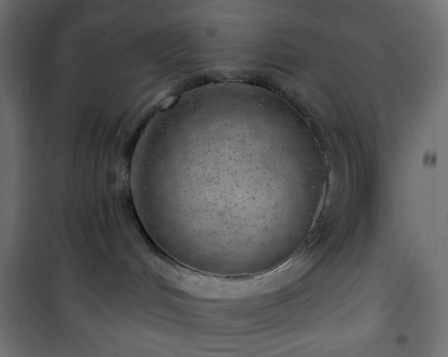 X0000101470048200807141401