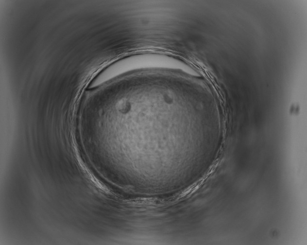 X0000101470049200807141401