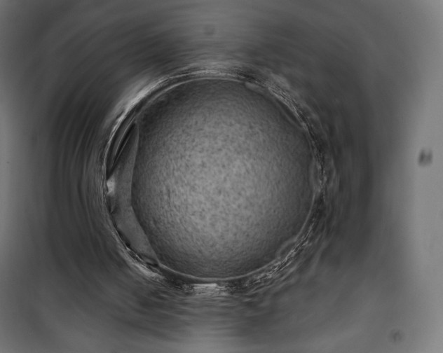 X0000101470050200807141401