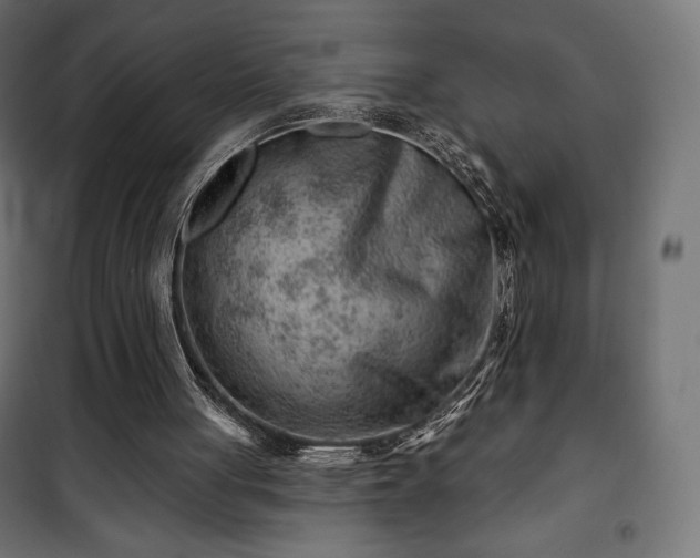 X0000101470051200807141401