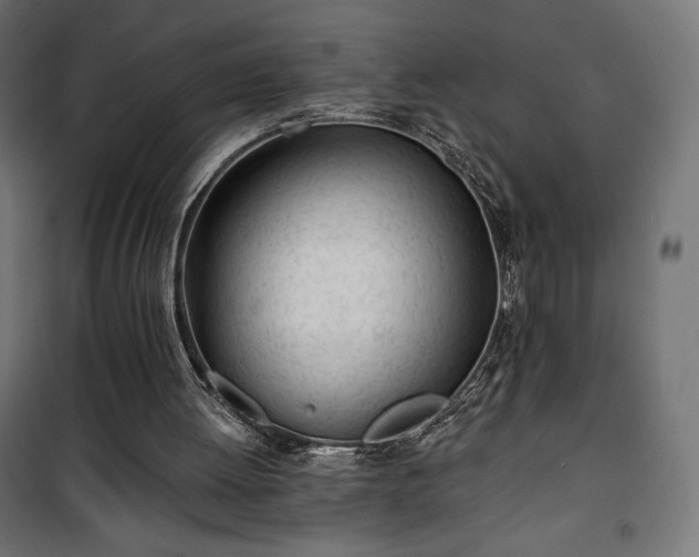 X0000101470052200807141401