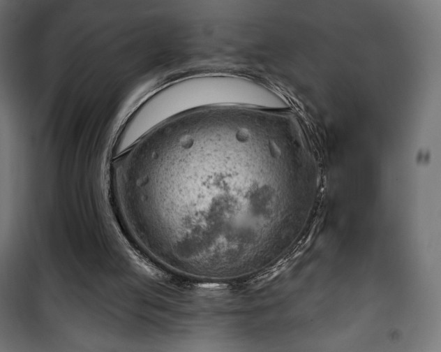 X0000101470053200807141401