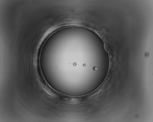 X0000101470056200807141401