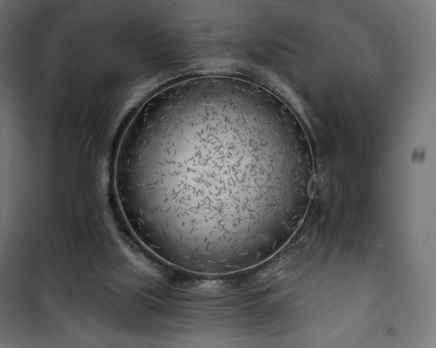 X0000101470059200807141401