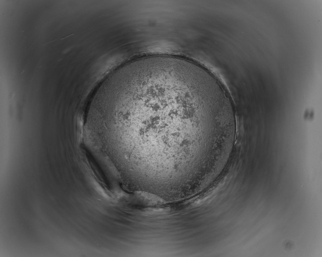 X0000101470061200807141401