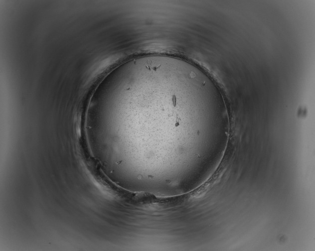 X0000101470062200807141401