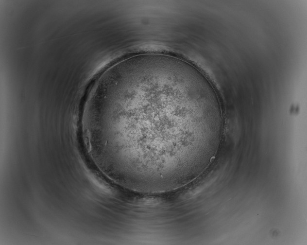 X0000101470063200807141401
