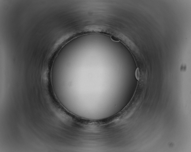 X0000101470064200807141401