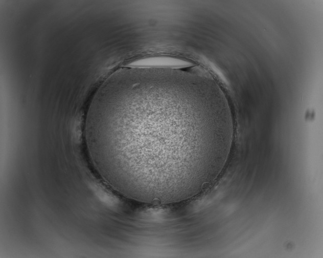 X0000101470065200807141401