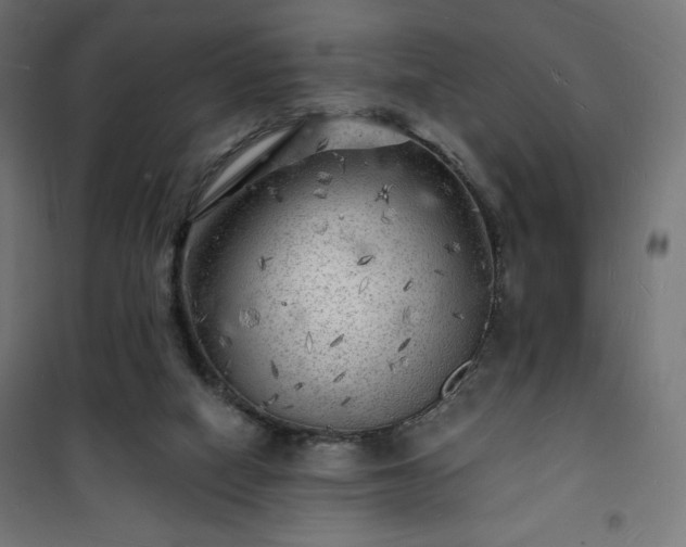 X0000101470066200807141401