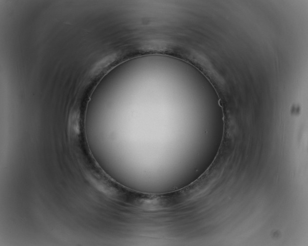 X0000101470068200807141401