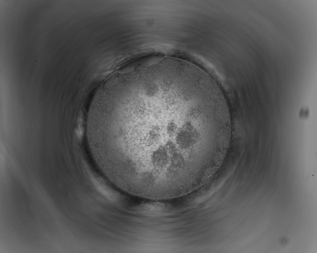 X0000101470069200807141401