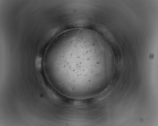 X0000101470070200807141401